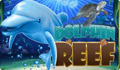 Dolphin Reef